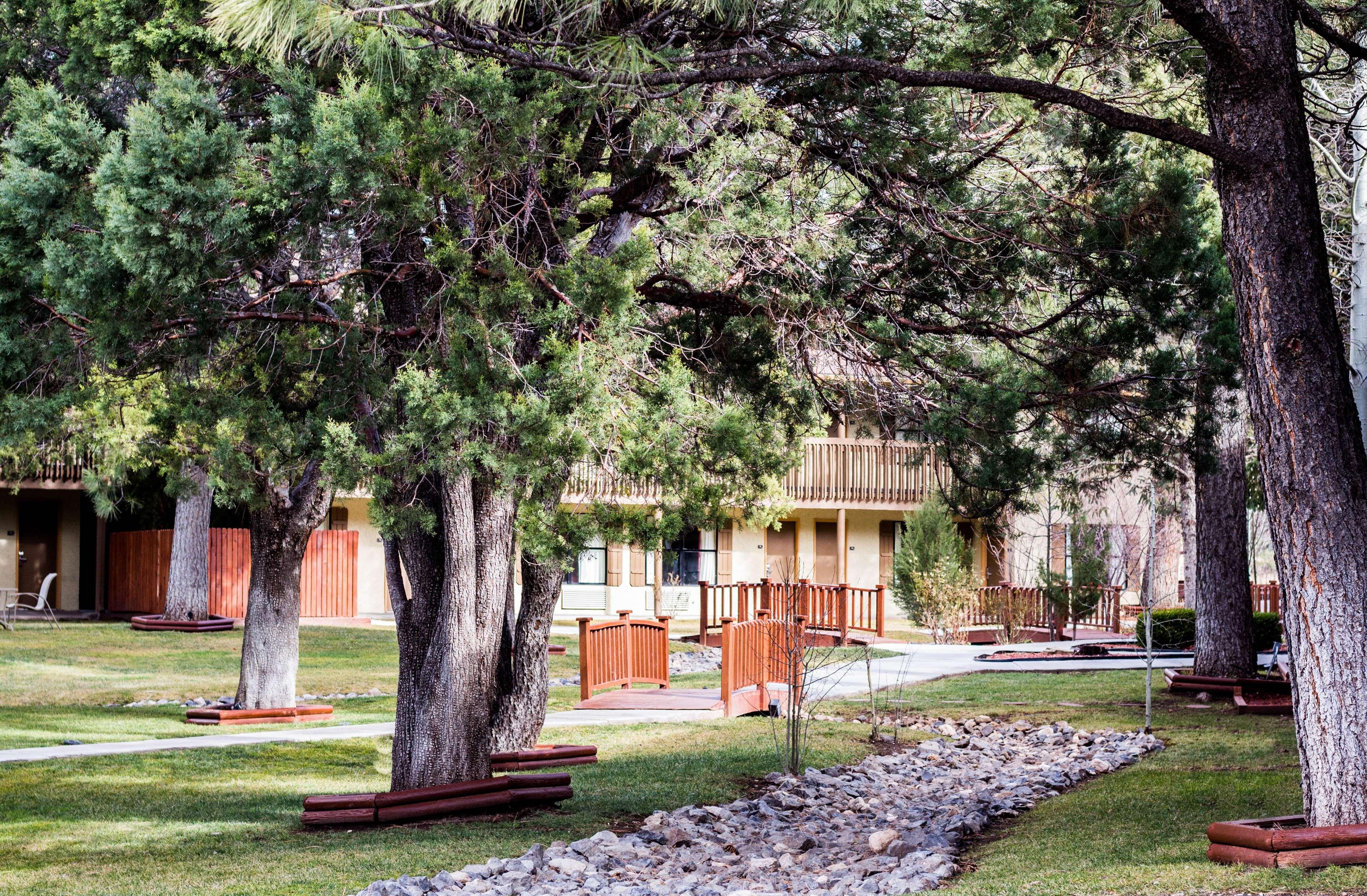 Best Western Pine Springs Inn Ruidoso Downs Bagian luar foto